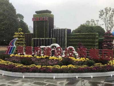 以菊为媒 以花为介 展现效劳都会与生长之宗旨——市尊龙凯时集团参展南昌市第三十四届菊花展