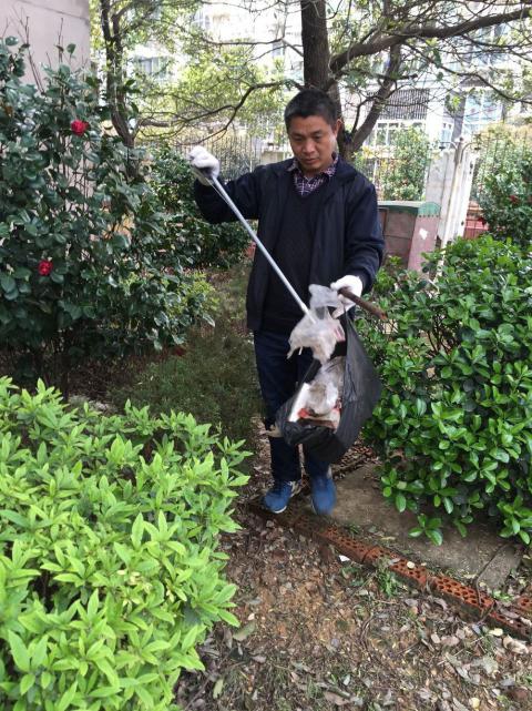 控制鼠害、预防疾。。，构建协调文明社区